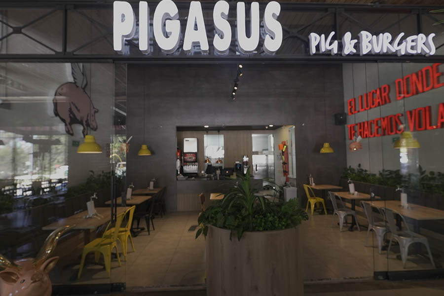 Logo_Pigasus_Palmas