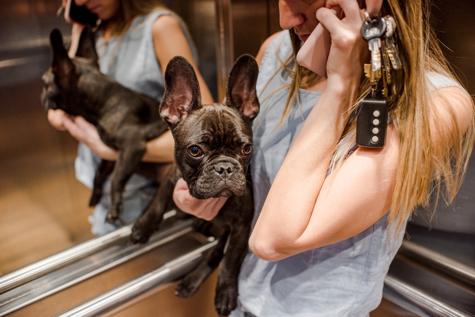 Mujer cargando perro en ascensor