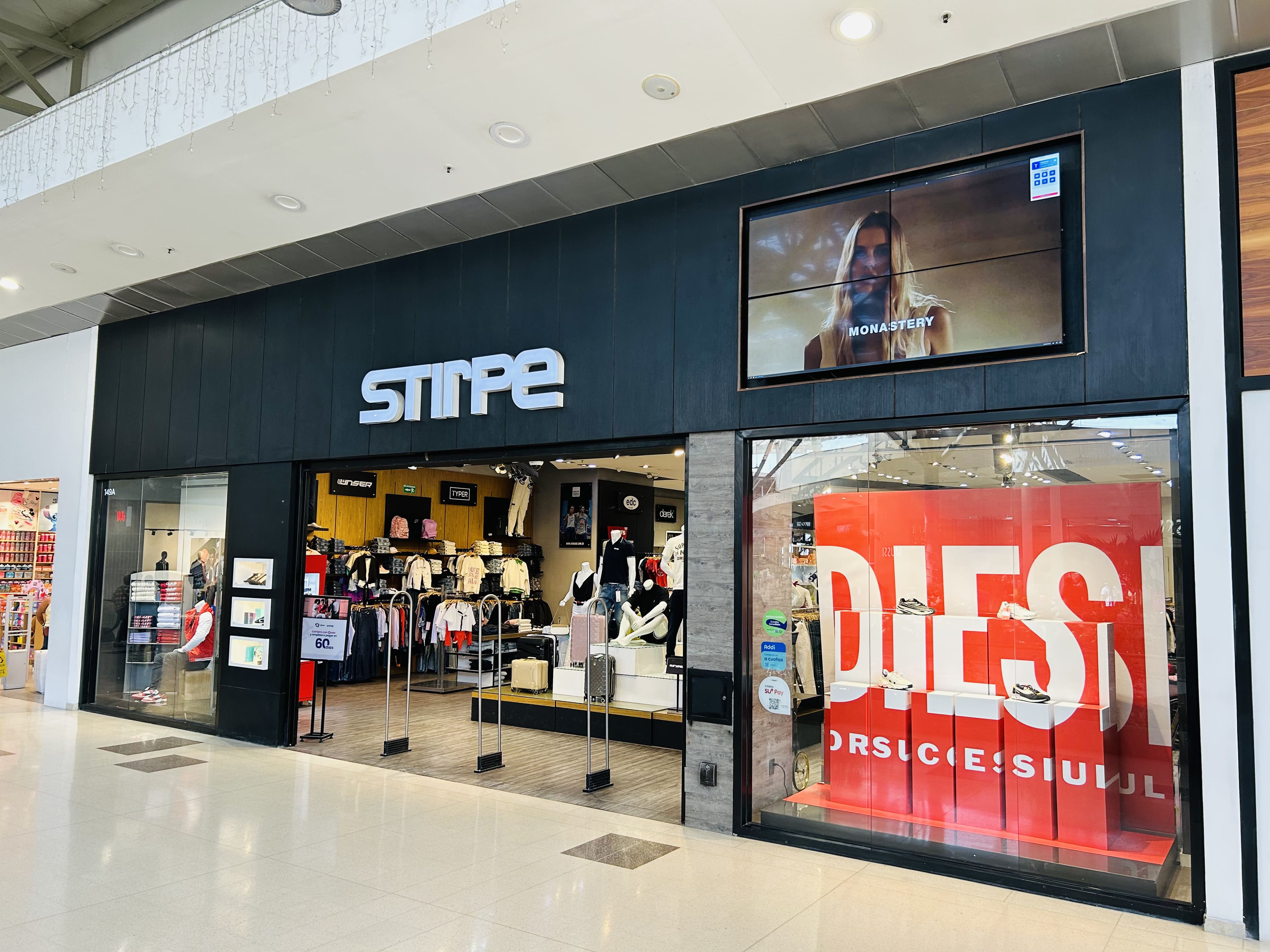 stirpe