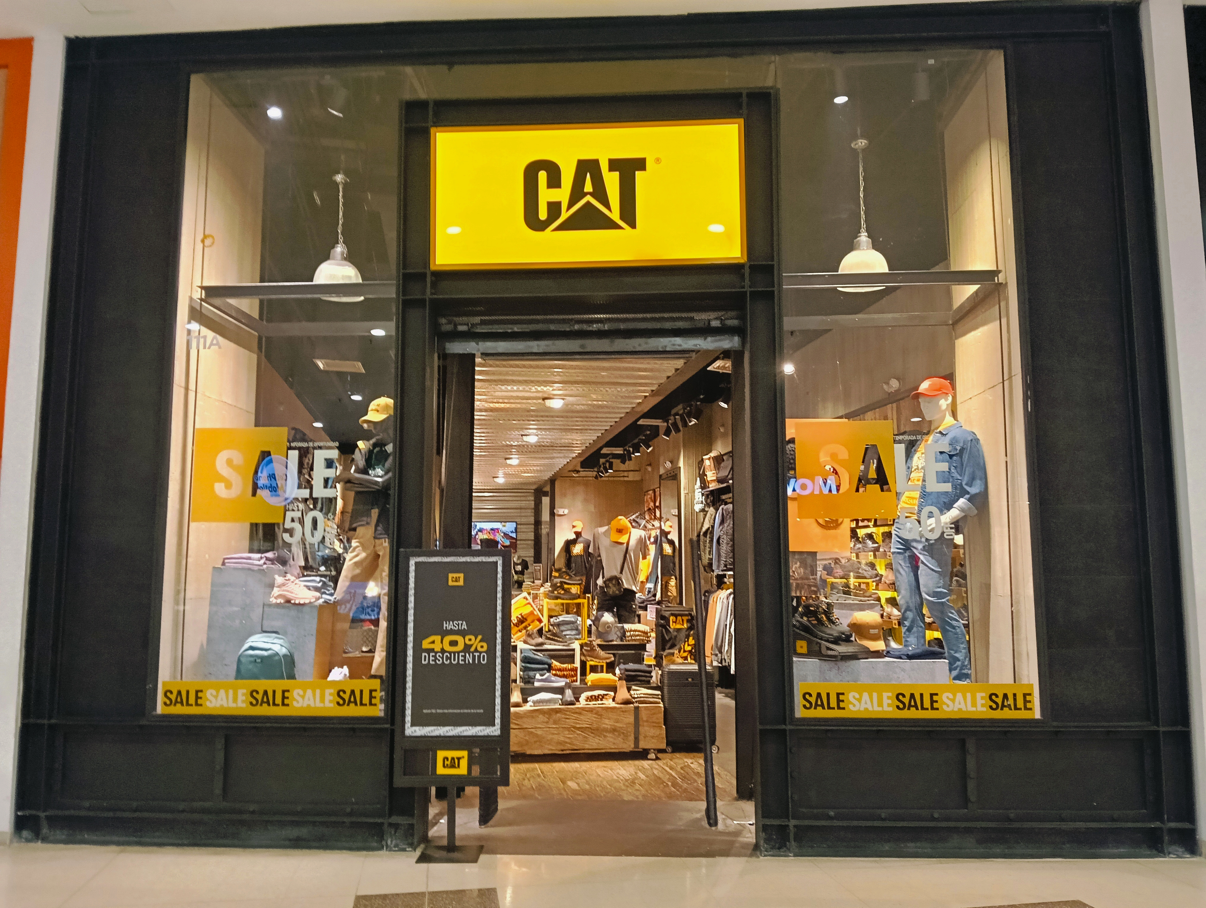 cat