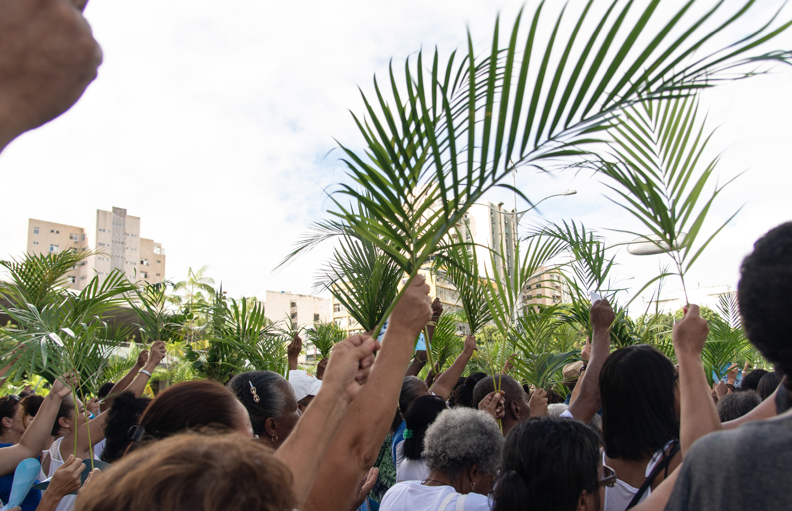Domingo de ramos