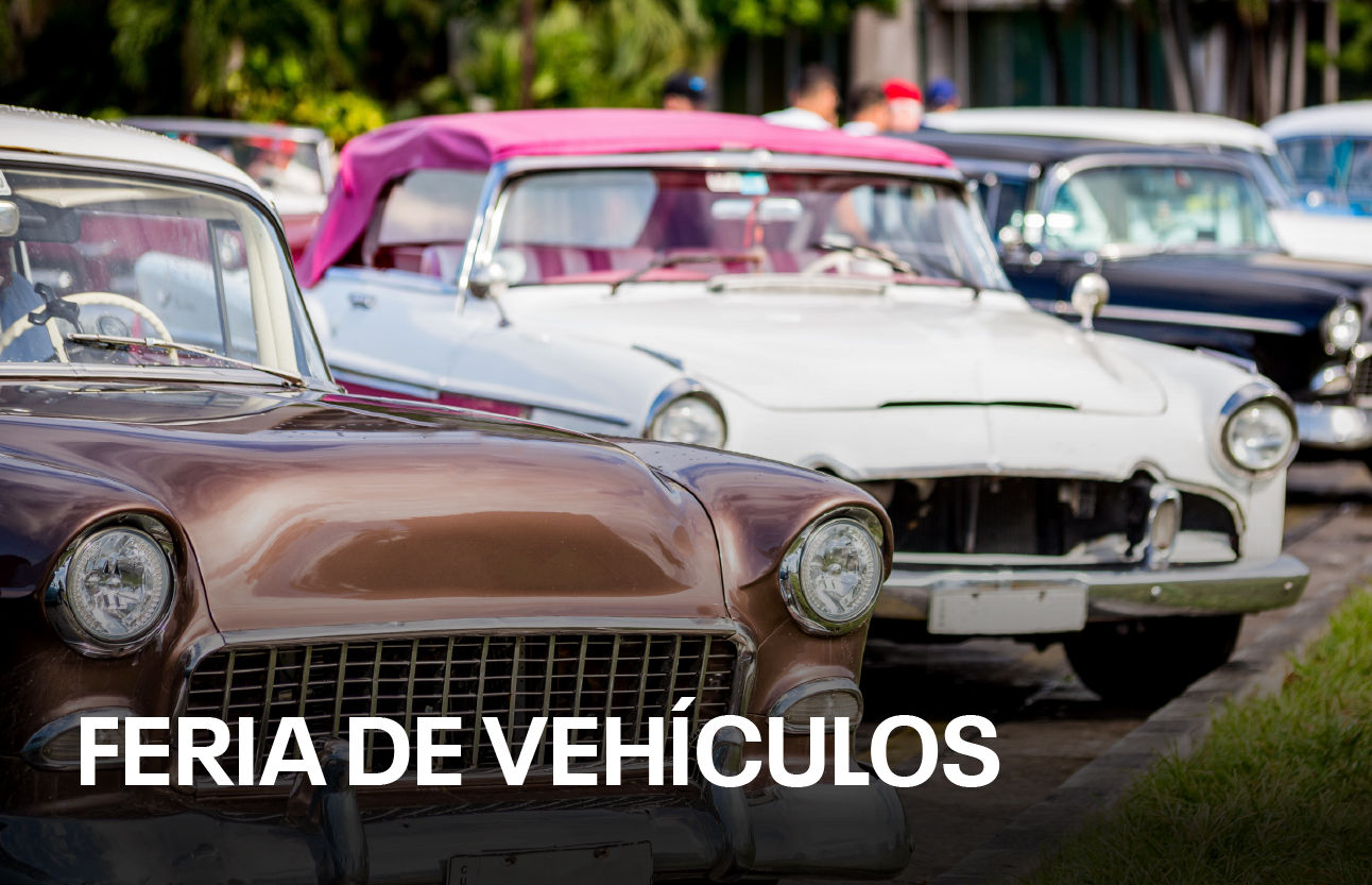 Feria de vehículos